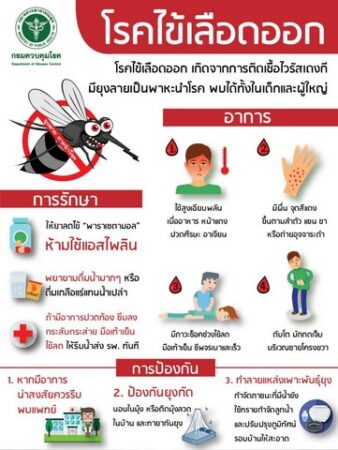 CREATOR: gd-jpeg v1.0 (using IJG JPEG v62), quality = 82