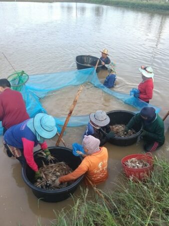 549371319_24571866549140998_4486109543886205422_n_0_0