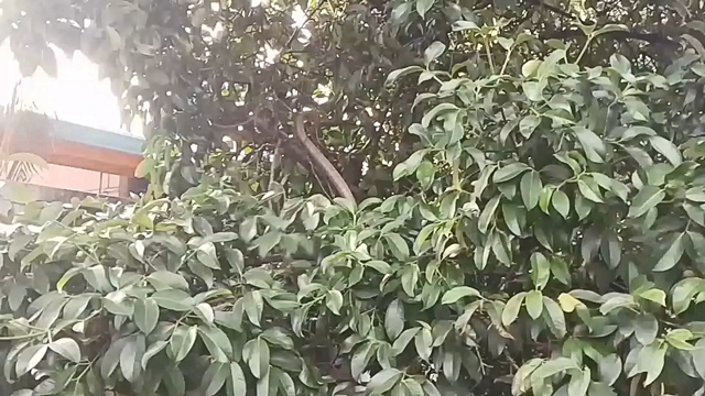 2_0
