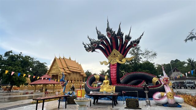 IMG_4543