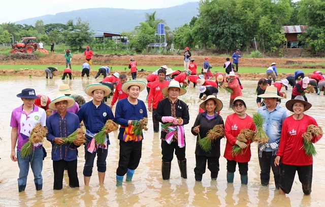 IMG_7982_0