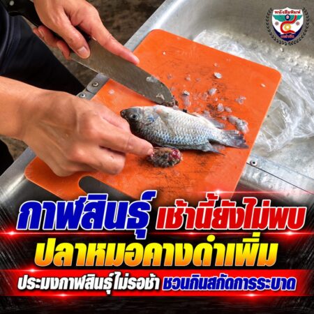 2F_3TRUYRTUUIIOIOPONEW1254