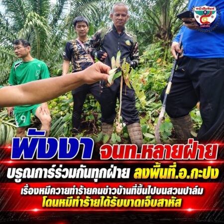 2F_4TRUYRTUUIIOIOPONEW1254