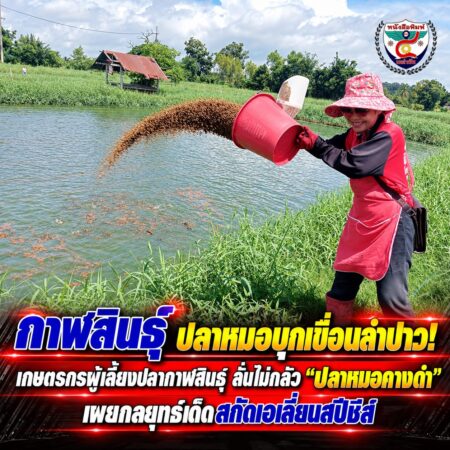 F2-120-ChatGPT Image 18 ก.ย. 2569 09_25_29