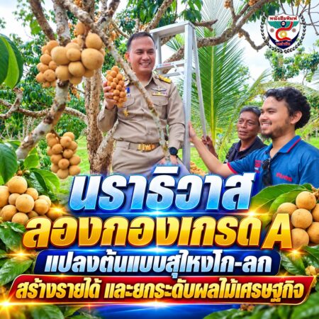 2F004-นราธิวาส-ลองกองเกรด-A-แปลงต้นแบบ