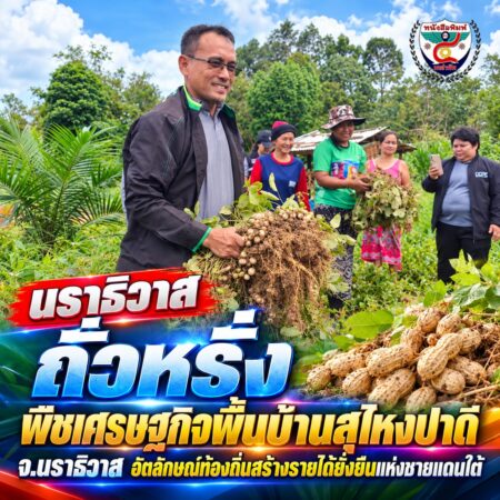 2F028ถั่วหรั่ง-วิถีเกษตรนราธิวาส